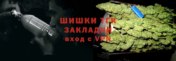 спиды Заводоуковск