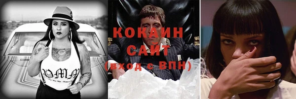 дурь Ельня