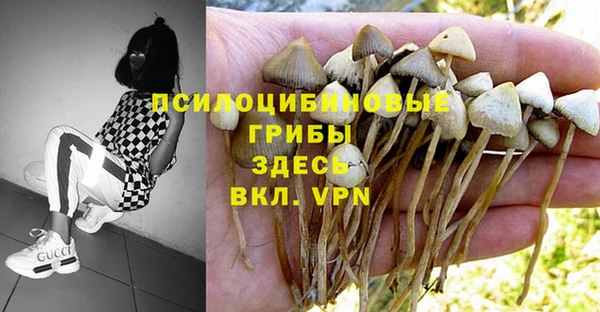 марки lsd Заволжск