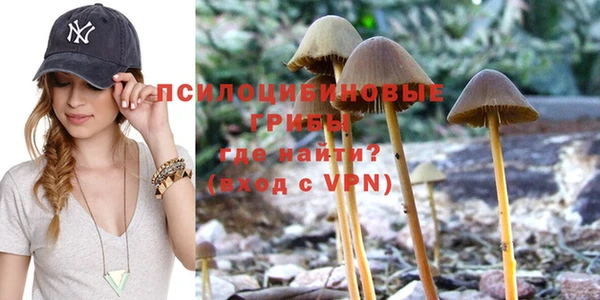 дурь Ельня