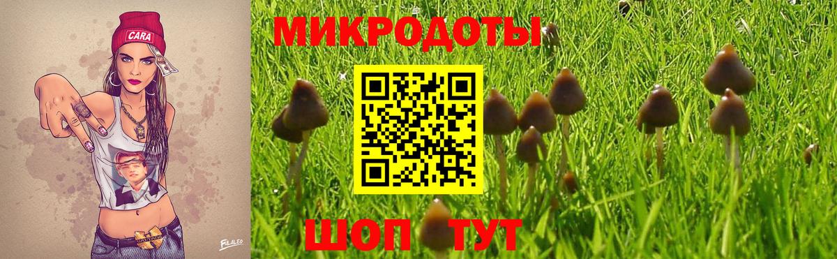Галлюциногенные грибы Psilocybe  Вход с VPN  Кузнецк 