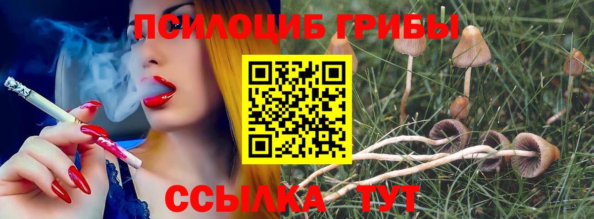 Псилоцибиновые грибы прущие грибы Кузнецк